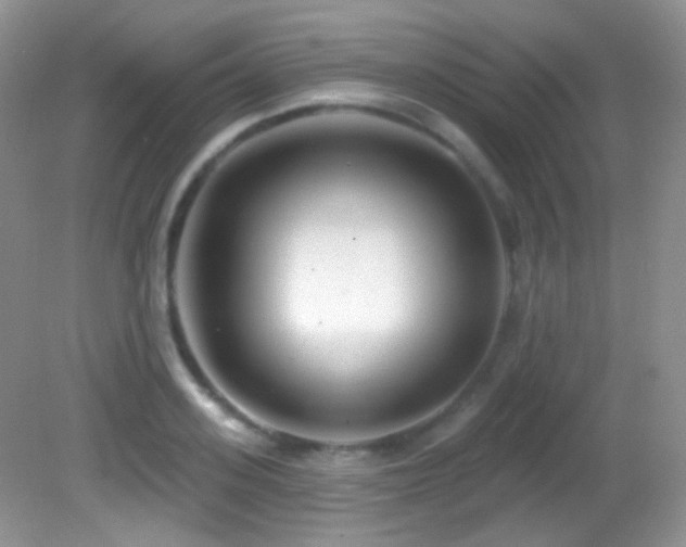 X0000082730939200701261241