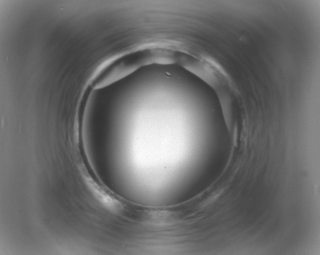 X0000082730940200701261241