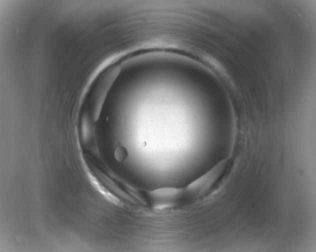 X0000082730942200701261241