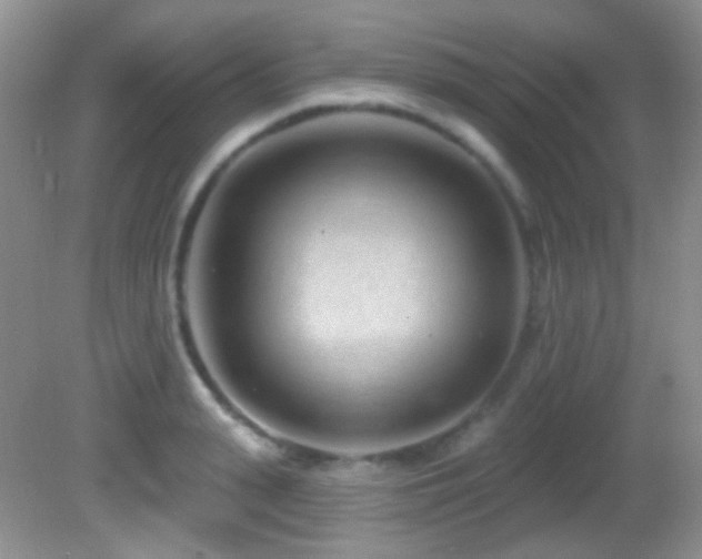 X0000082730943200701261241