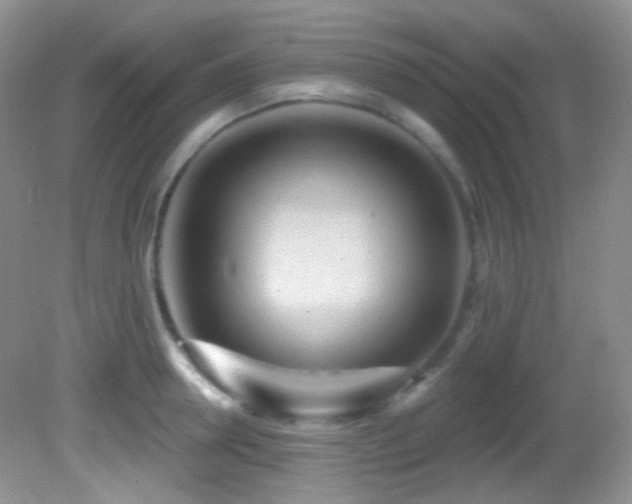 X0000082730946200701261241