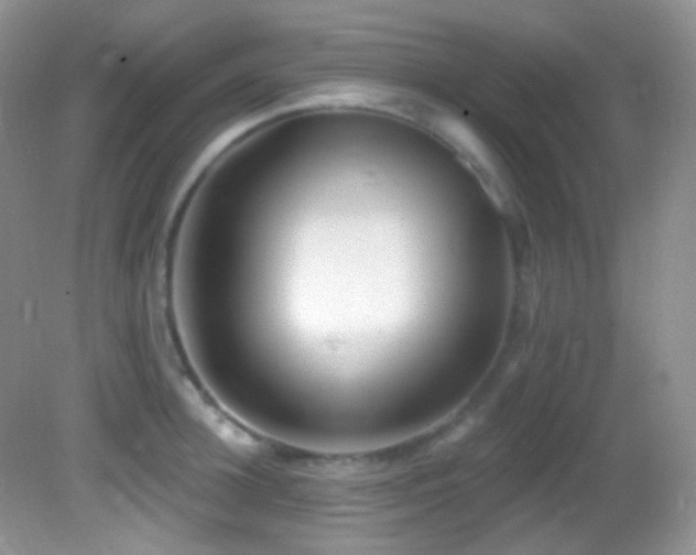 X0000082730948200701261241