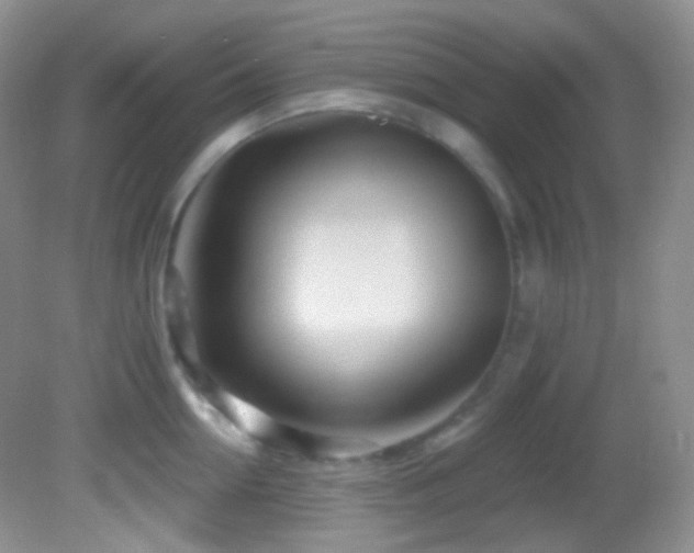 X0000082730954200701261241