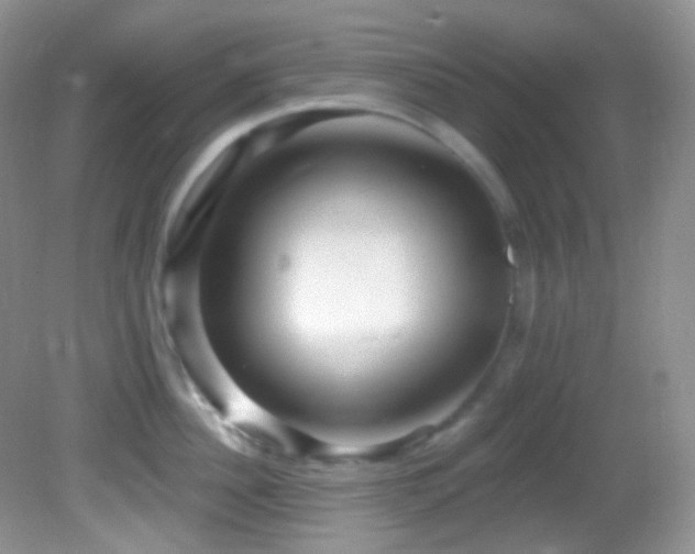 X0000082730956200701261241