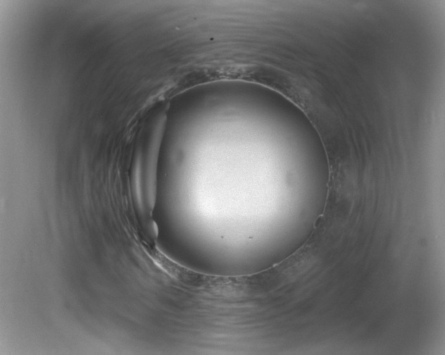 X0000082730962200701261241