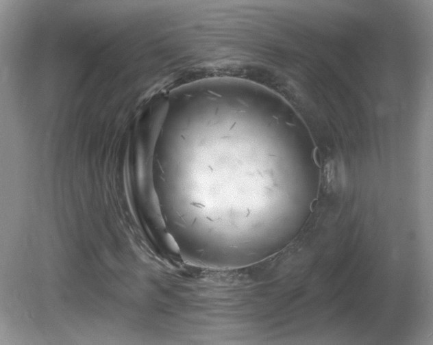 X0000082730963200701261241