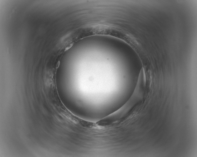 X0000082730964200701261241