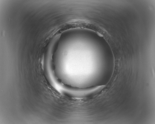 X0000082730965200701261241