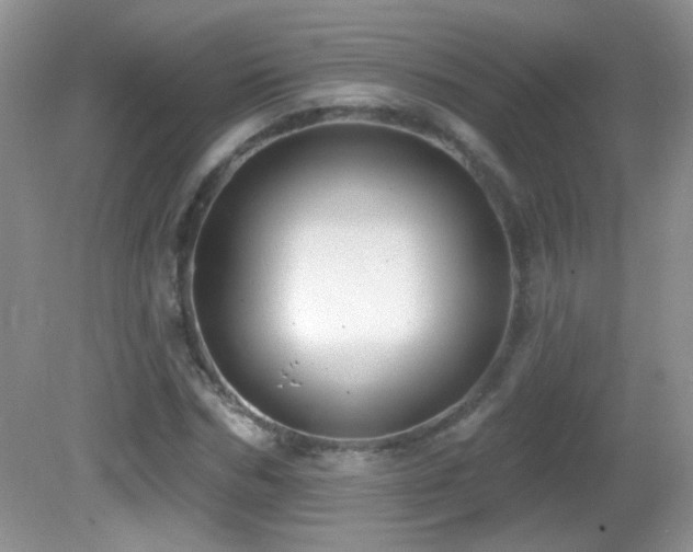 X0000082730970200701261241
