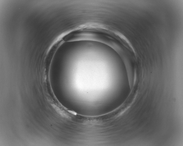 X0000082730973200701261241