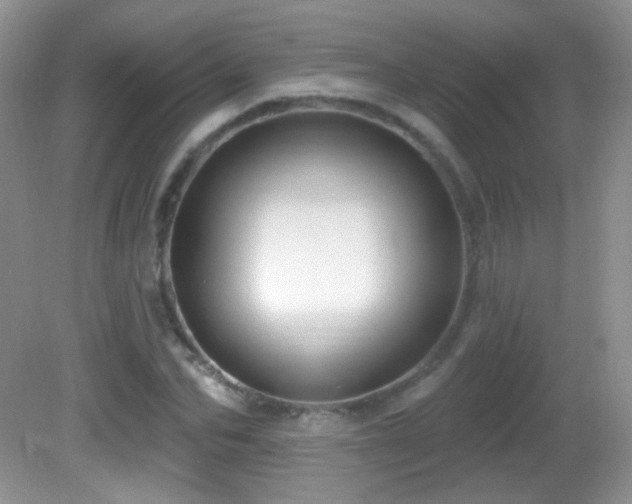 X0000082730974200701261241