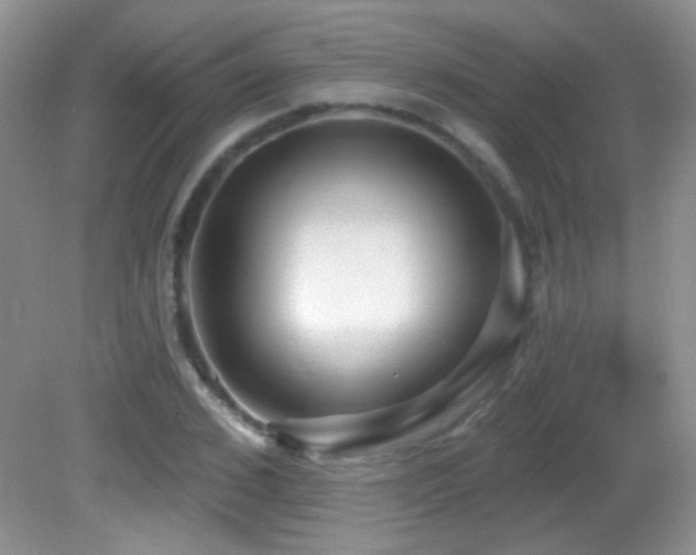 X0000082730976200701261240
