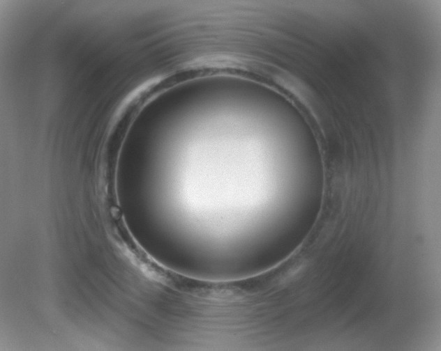 X0000082730979200701261240
