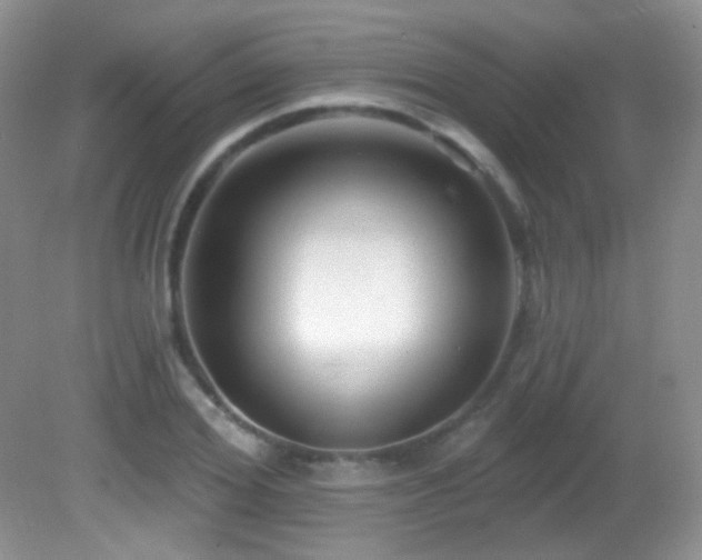 X0000082730980200701261240