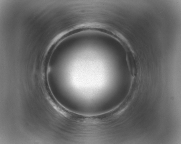 X0000082730981200701261240