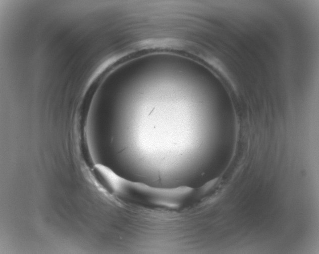 X0000082730983200701261240