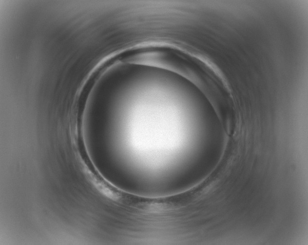 X0000082730984200701261240