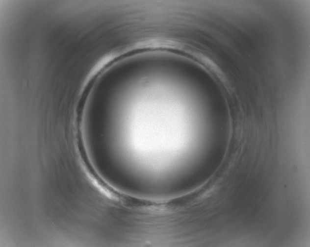 X0000082730990200701261240