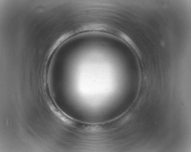 X0000082730994200701261240