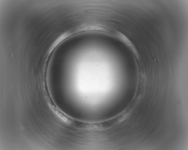 X0000082731002200701261240