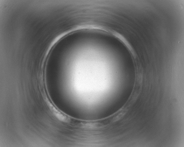 X0000082731004200701261240