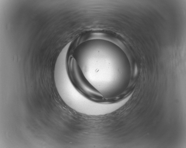 X0000082731010200701261239