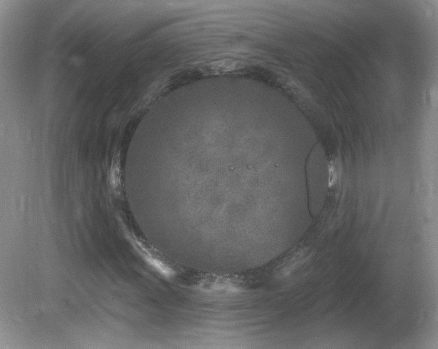 X0000082731011200701261239