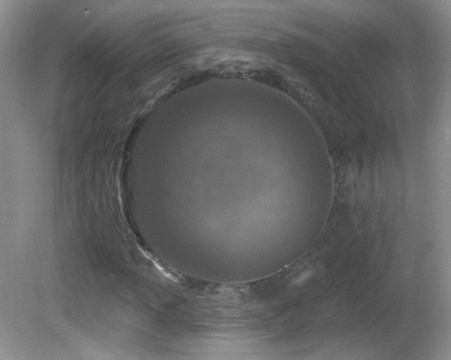 X0000082731013200701261239