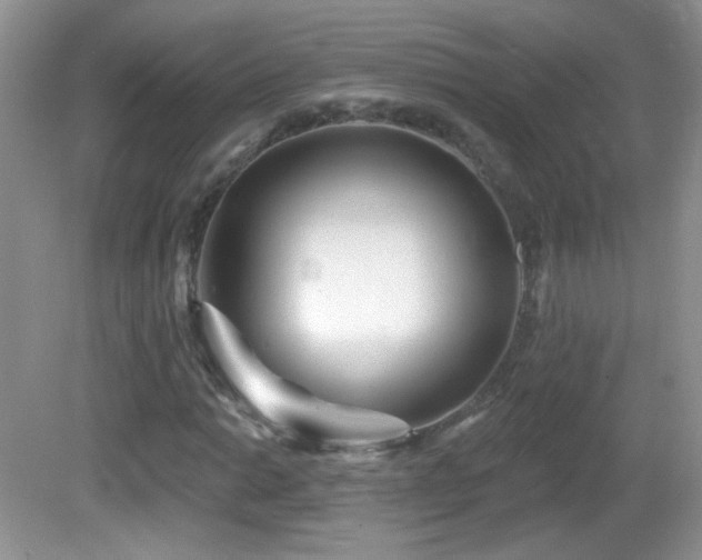 X0000082731014200701261239