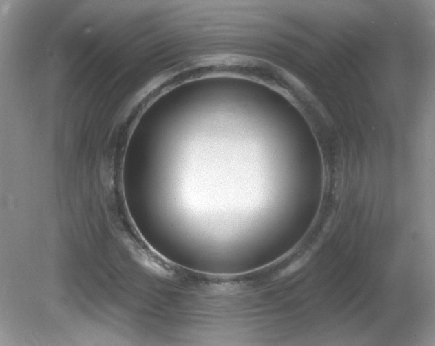 X0000082731017200701261239