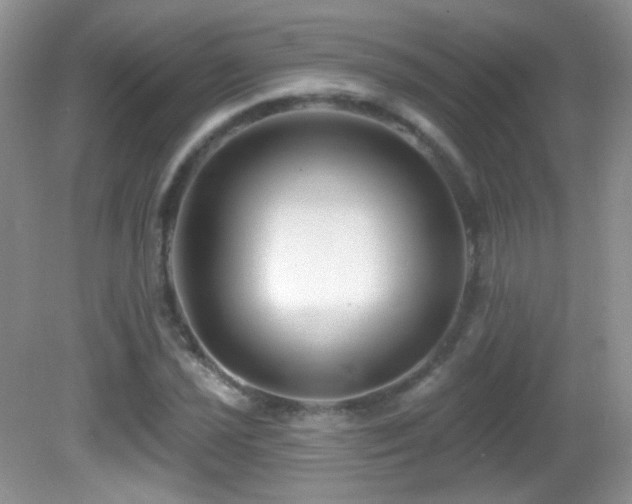 X0000082731021200701261239