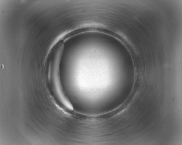 X0000082731022200701261239