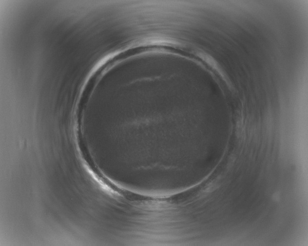 X0000082731024200701261239