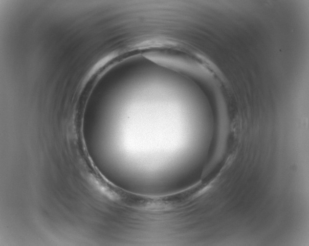 X0000082731026200701261239