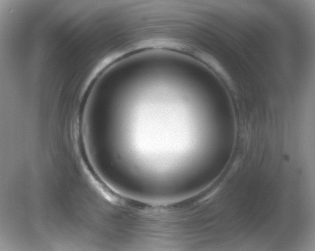 X0000082731040200701261240