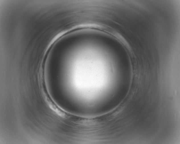 X0000082731044200701261240