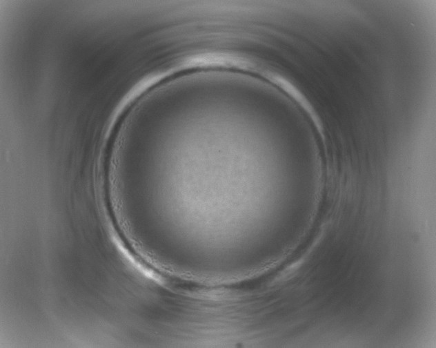 X0000082731045200701261240