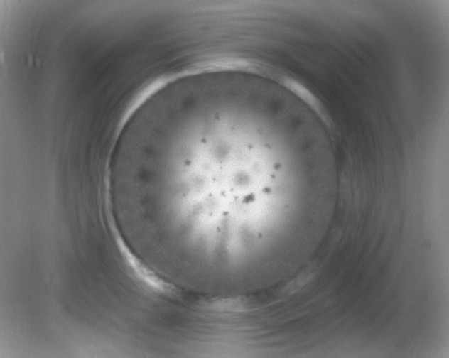 X0000082731047200701261240