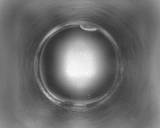X0000082731053200701261240