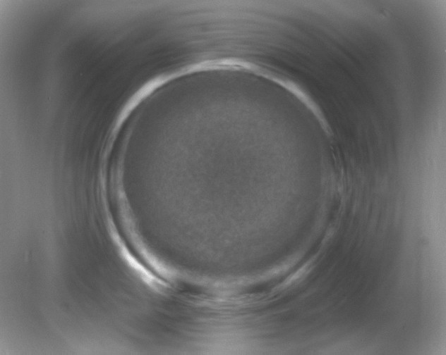 X0000082731054200701261240