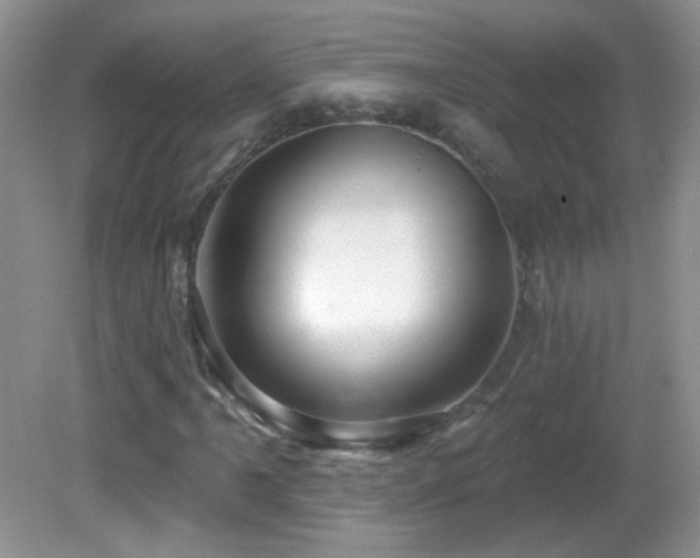 X0000082731061200701261239