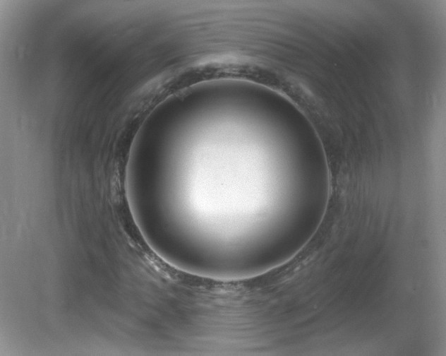 X0000082731062200701261239