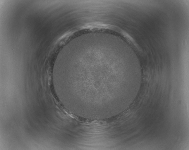 X0000082731063200701261239