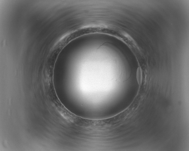 X0000082731064200701261239