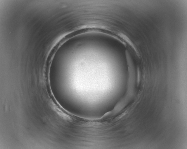 X0000082731068200701261239