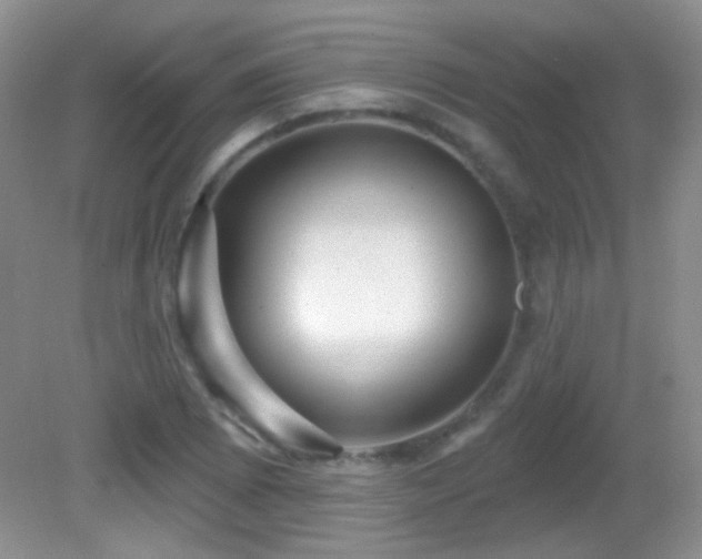 X0000082731073200701261239