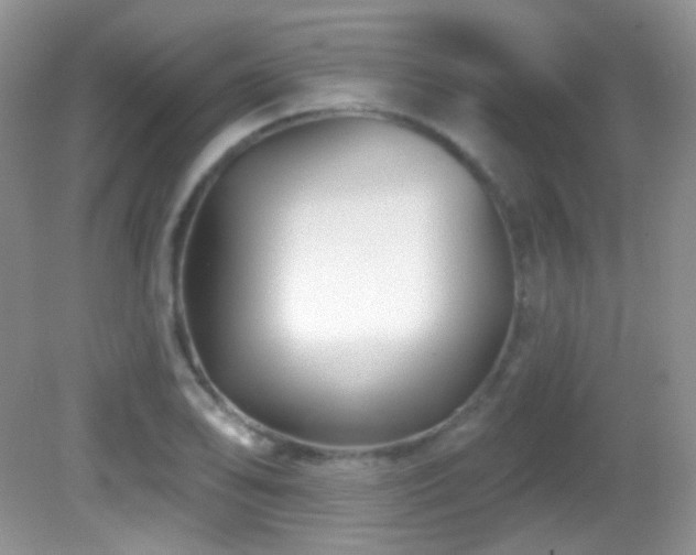 X0000082731078200701261239