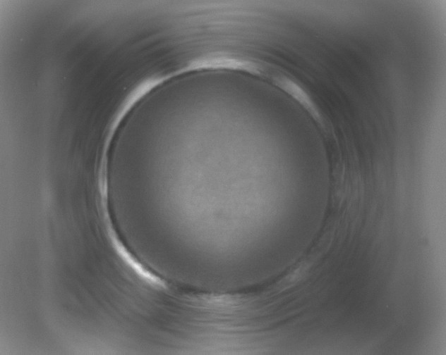 X0000082731084200701261239