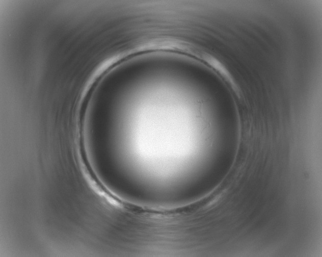 X0000082731088200701261239