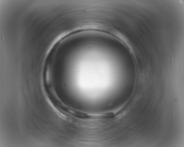 X0000082731093200701261239